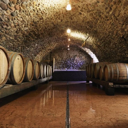 Tra Storia e Futuro: Degustazione Vini e Light Lunch/Dinner sulle Colline del Garda 14